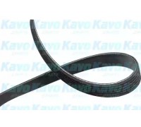 Поликлиновой ремень KAVO PARTS DMV-4567 DMV4567 KAVO PARTS - купить в магазине запчастей по Украине