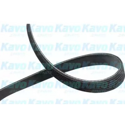 Поликлиновой ремень DMV4569 KAVO PARTS - купить в магазине запчастей по Украине