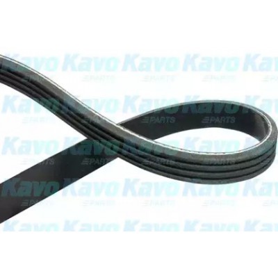 Поликлиновой ремень DMV6508 KAVO PARTS - купить в магазине запчастей по Украине