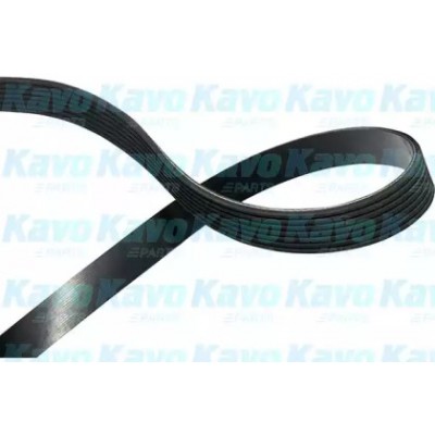 Поликлиновой ремень DMV6544 KAVO PARTS - купить в магазине запчастей по Украине