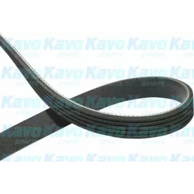 Поликлиновой ремень DMV9021 KAVO PARTS - купить в магазине запчастей по Украине