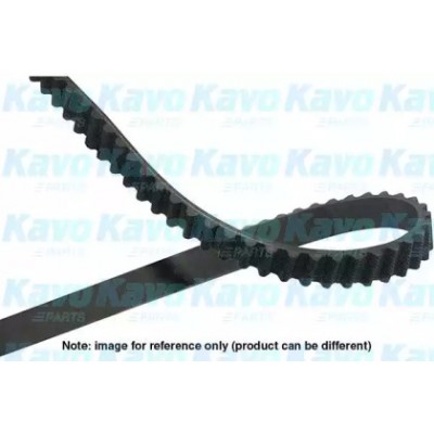 Ремень ГРМ DTB1003 KAVO PARTS - купить в магазине запчастей по Украине
