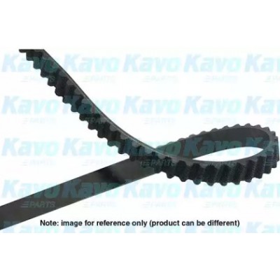 Ремень ГРМ DTB6523 KAVO PARTS - купить в магазине запчастей по Украине