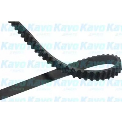 Ремень ГРМ DTB8523 KAVO PARTS - купить в магазине запчастей по Украине