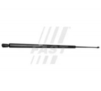 FT94019 FAST - купить в магазине запчастей по Украине
