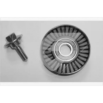 Паразитный / ведущий ролик, поликлиновой ремень T0019 HUTCHINSON - купить в магазине запчастей по Украине