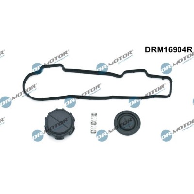 Компл.прокл (з мембран.) FORD/PEUGEOT 1.6 CDTI/HDI DRM16904R DR MOTOR - купити в магазині запчастин по Україні