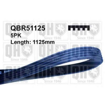 Поликлиновой ремень QBR51125 QUINTON HAZELL - купить в магазине запчастей по Украине