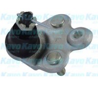 Несущий / направляющий шарнир KAVO PARTS SBJ-2015 SBJ2015 KAVO PARTS - купити в магазині запчастин по Україні